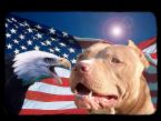 U.S.A