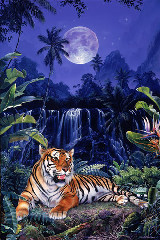 tigre de bangal