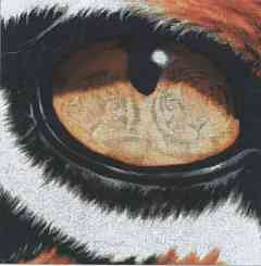 loei du tigre