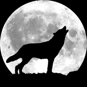 leur du loup