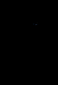 le tigre noir