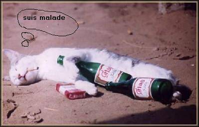 l'blia m9weda
