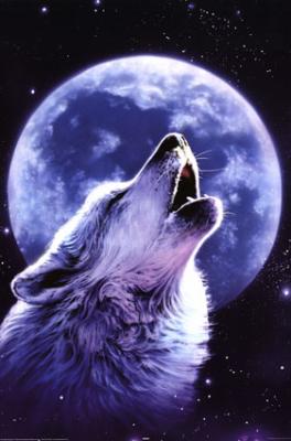 leur du loup