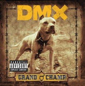 vive DMX