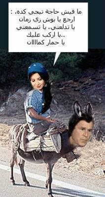 llah ychoih bik