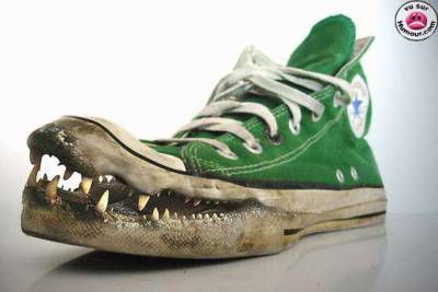 convers blandia